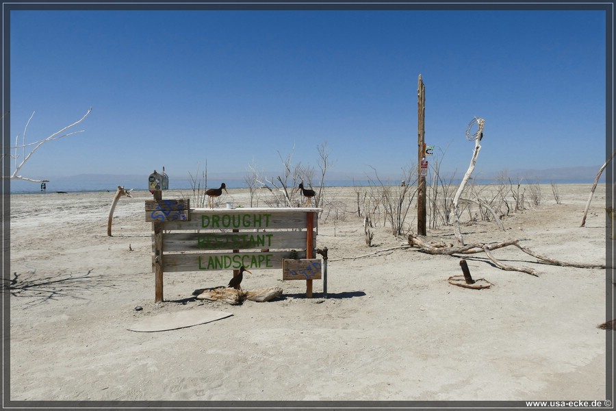 Bombay_Beach_2024_028