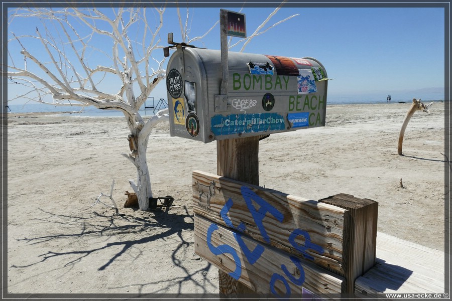 Bombay_Beach_2024_029