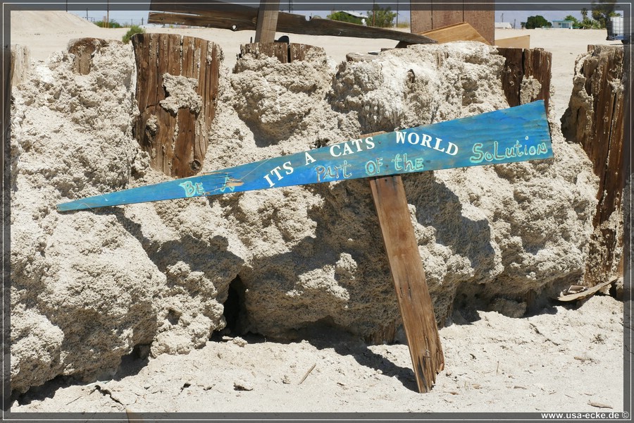 Bombay_Beach_2024_041