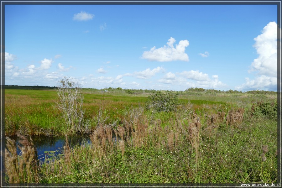 EvergladesNP2019_007