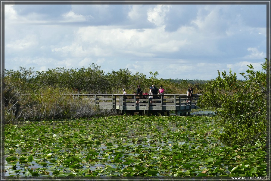 Everglades2022_012