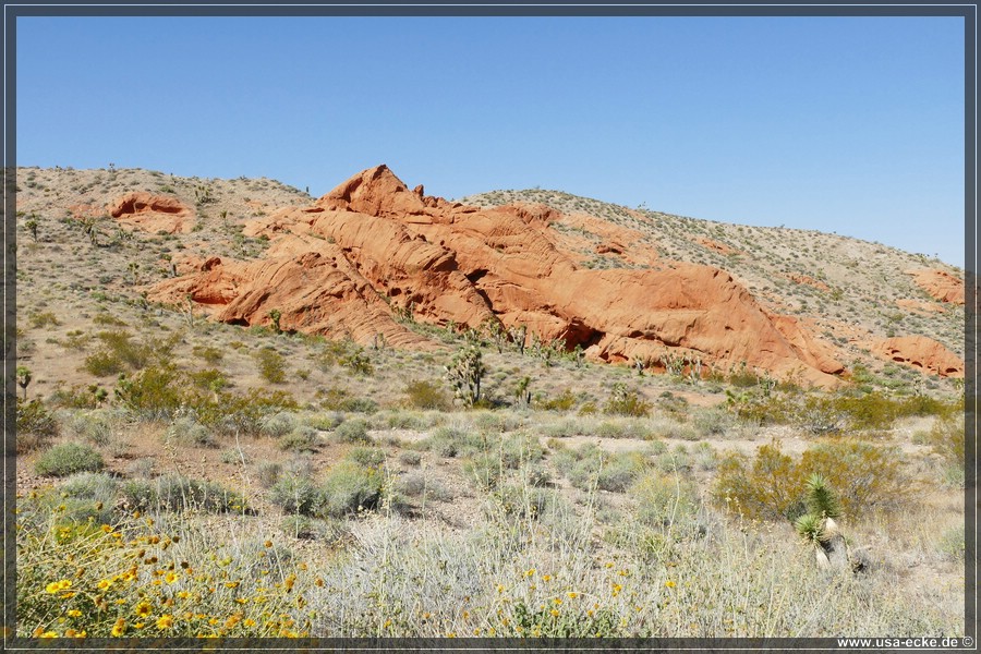 Gold_Butte_2024_051