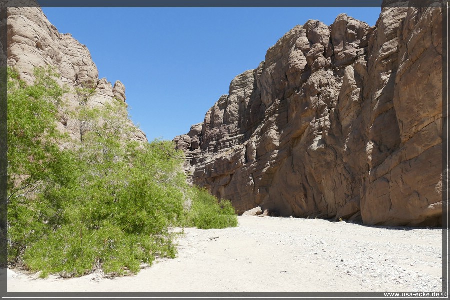 Ladder_Canyon_2024_022