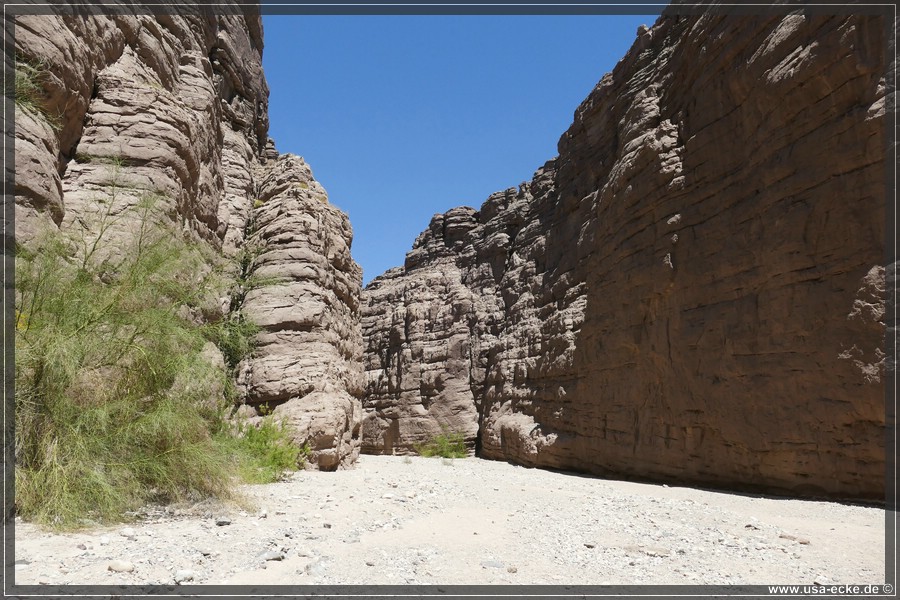 Ladder_Canyon_2024_026