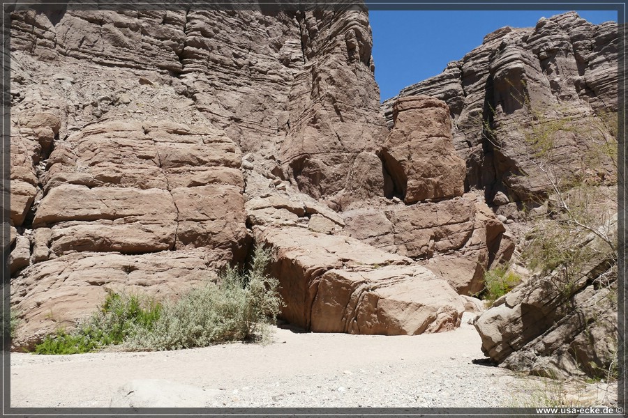 Ladder_Canyon_2024_030