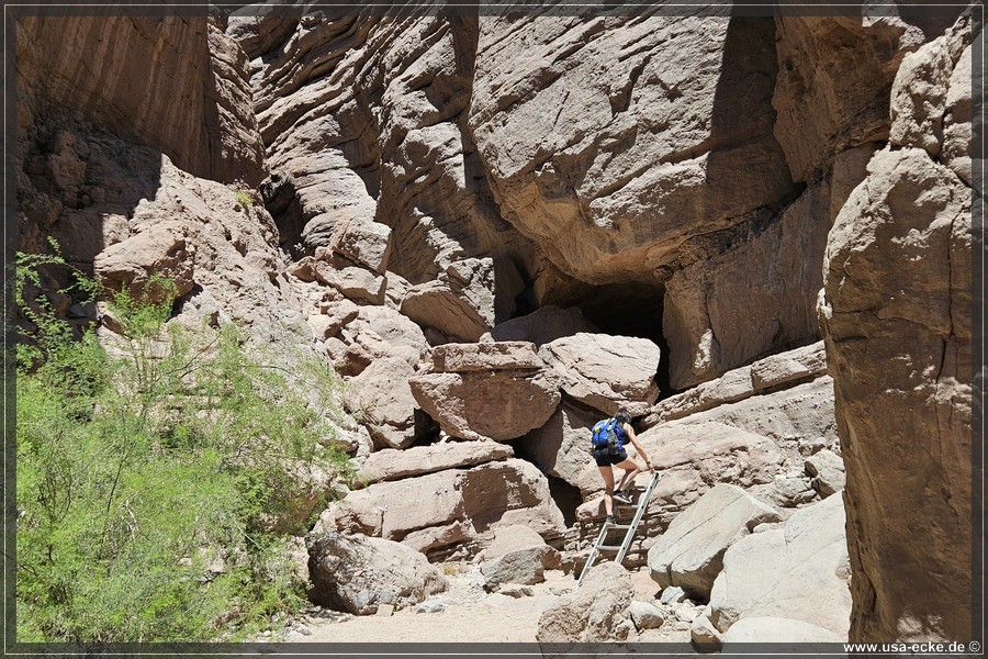 Ladder_Canyon_2024_034