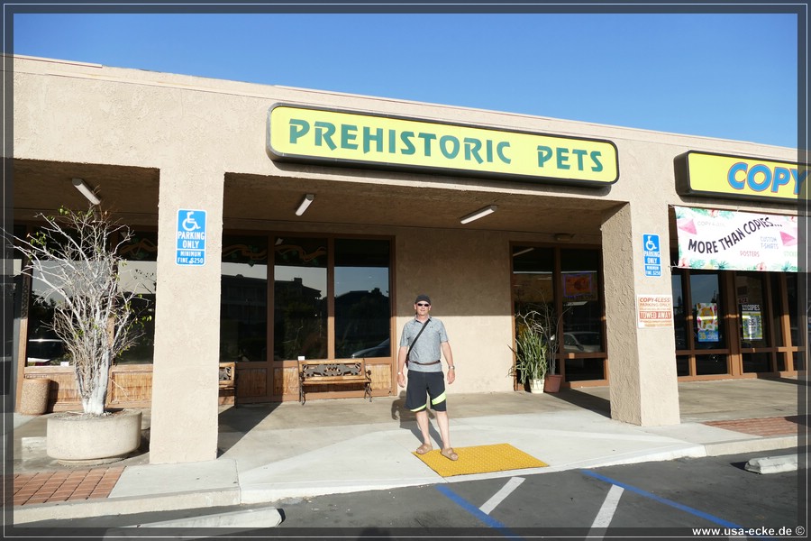 PrehistoricPets2018_002