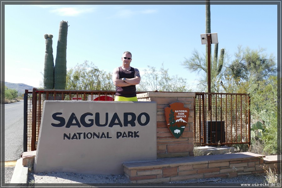 Saguaro2019_002