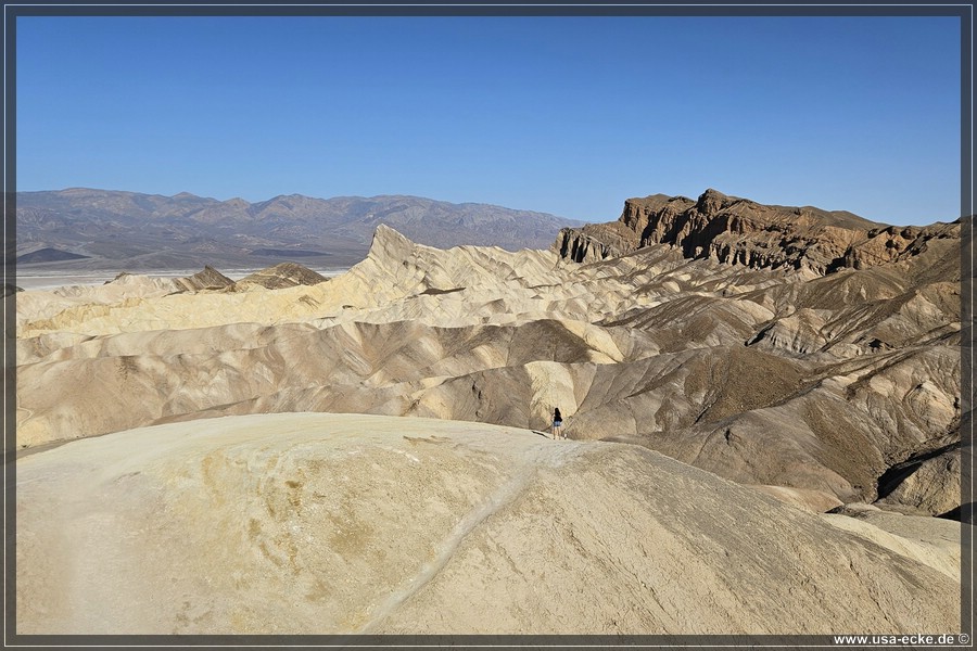 Zabriskie_2024_013